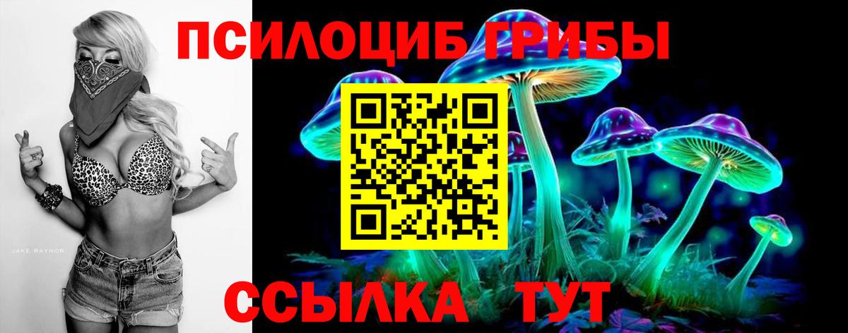 Псилоцибиновые грибы прущие грибы Ставрополь